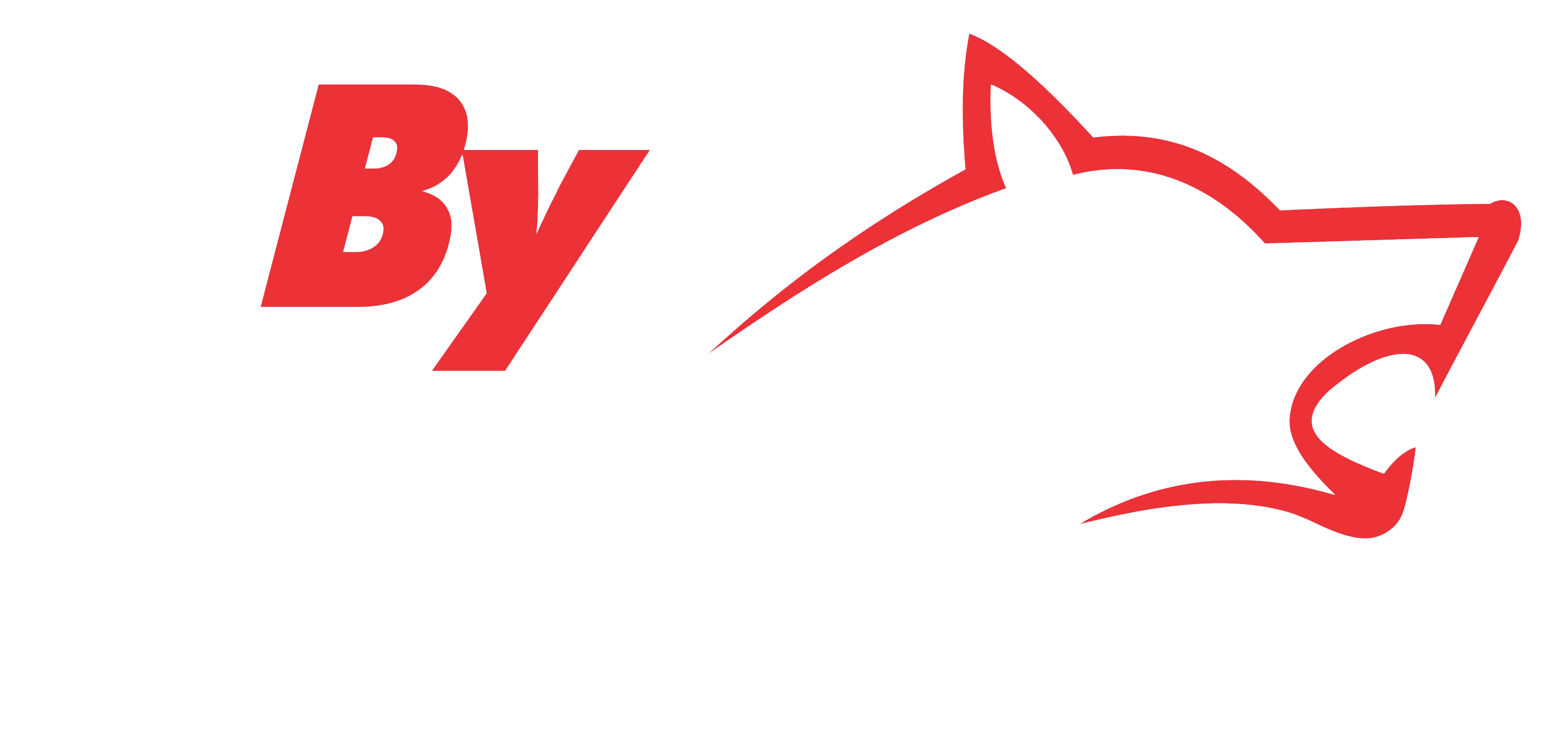 logo ByControl